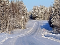 IMG_4266 alm14_redigerad-1